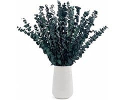 Gedroogde Eucalyptusstelen 43 cm (Blauw)