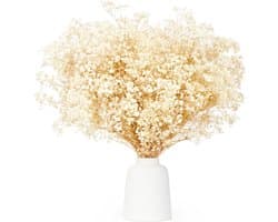 Gedroogde bloemen, meer dan 3500 ivoorwitte bloemen, natuurlijke gypsophila takken voor doe-het-zelf krans, huis, bruiloft, tafel, vaas