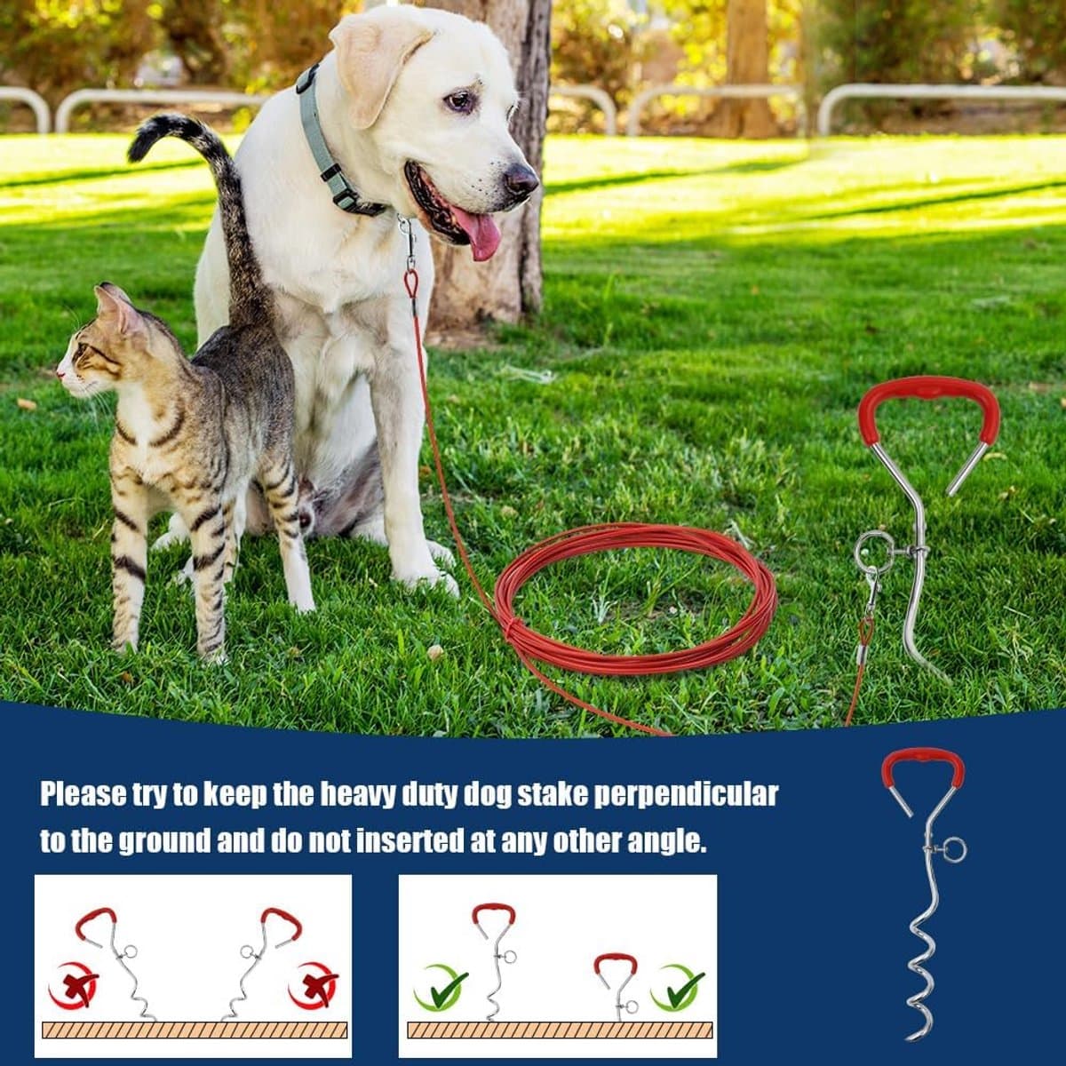 Grondanker Hond - Lijnanker Tuin - Veilig Vastzetten - Roestvrij Staal - 43 cm Lengte - Zwart — afbeelding 1