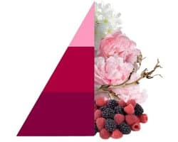 Horomia Geschenkset Petali di Peonia - Wasparfum en textielspray - Geur bij de Was - Wasgeurtje - Parfum voor de Was - Parfum bij de Was - Geurbooster