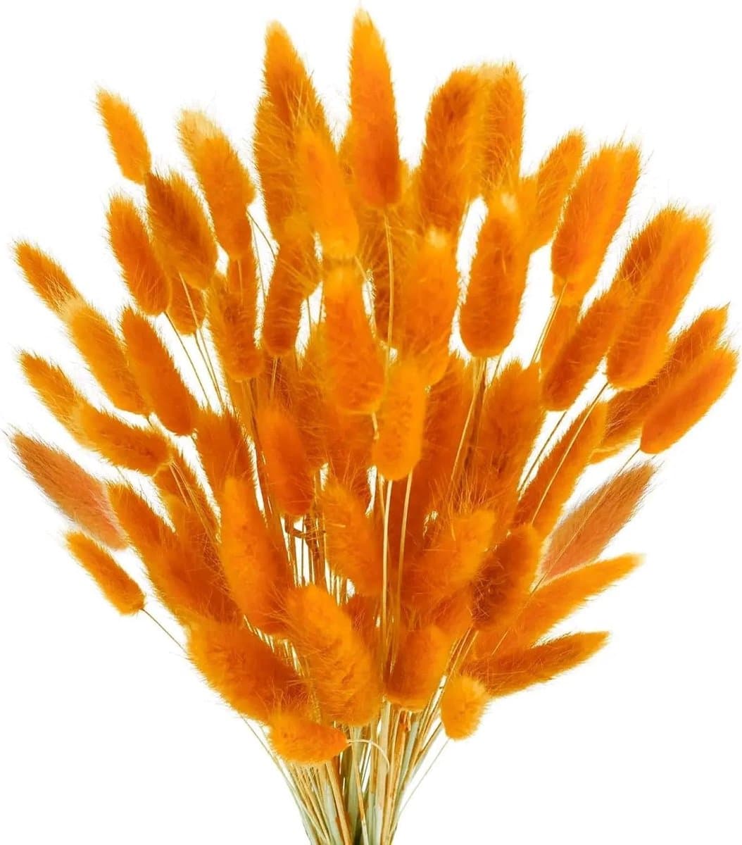 120 stuks decoratieve droogbloemen, droogbloemen, kan vrij worden gesneden, decoratieve veren, Boheemse stijl, voor woonkamer, slaapkamer, werkkamer (oranje) — afbeelding 1