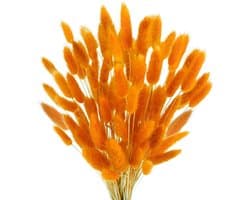 120 stuks decoratieve droogbloemen, droogbloemen, kan vrij worden gesneden, decoratieve veren, Boheemse stijl, voor woonkamer, slaapkamer, werkkamer (oranje)