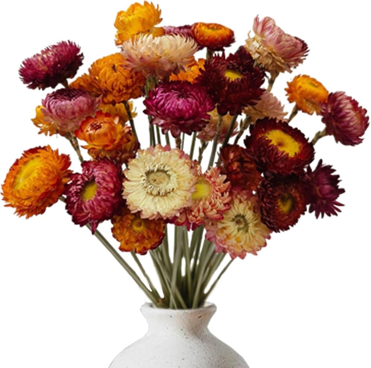 Gedroogde bloemen, droogbloemen, decoratie — afbeelding 1