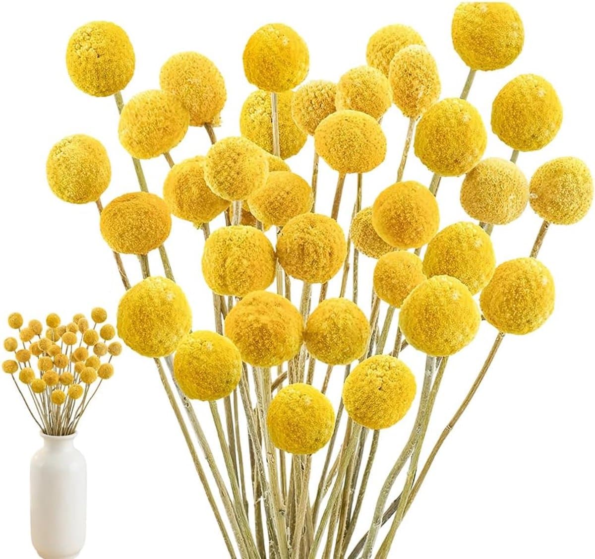 Gedroogde bloemen, 43 cm, geel, natuurlijke Craspedia gedroogde bloemen, natuurlijke droge plant voor doe-het-zelf bloemstukken, bruiloft, hoge vaas — afbeelding 1