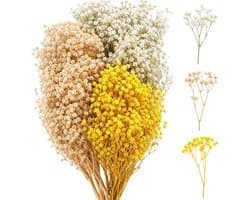 Gedroogde sluierkruid, gedroogde bloemen met geel-witte bloemen, 15 cm lang, voor doe-het-zelf knutselen, kaarsenmaken, harskunst en natuurlijke decoraties