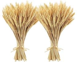 200pcs Tarwearen droogden op